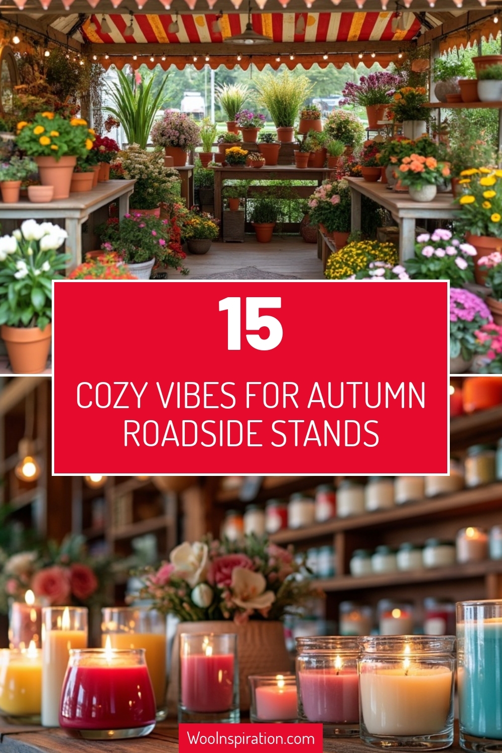 cozy vibes for autumn roadside stands